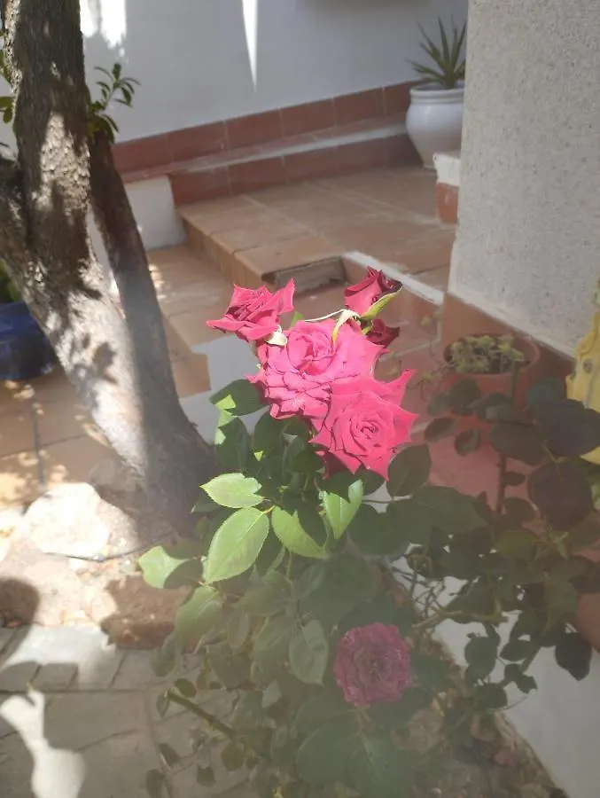 Сasa de vacaciones El Madrono De La Encantada Córdoba